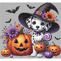 Halloween-WS 5831
